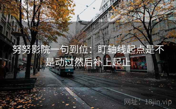 努努影院一句到位:盯轴线起点是不是动过然后补上起止